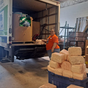Employee with boxes loading truck