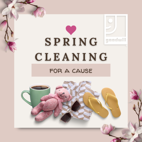 Spring cleaning for a cause
