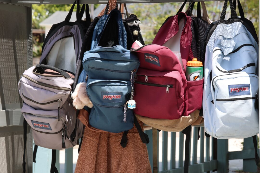 A collection of backpacks hanging outside on a sunny day.
